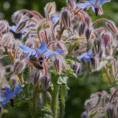Tour de France de la biodiversité 2024