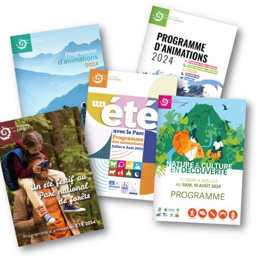 Programmes d'animations été 2024