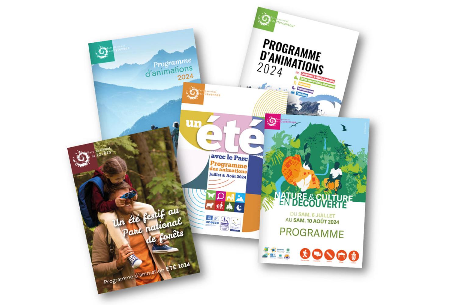 Programmes d'animations été 2024